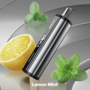 Lemon Mint – UWELL DP6000