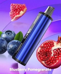 Blueberry Pomegranate – UWELL DP6000