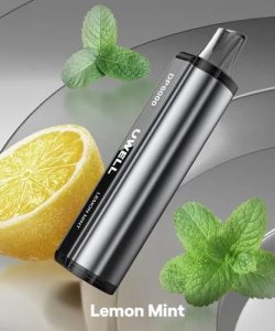 Lemon Mint – UWELL DP6000